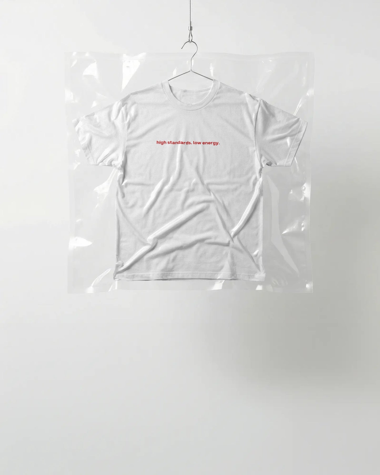 "high standards" Baby Tee